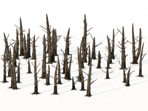 Fire-killed trees 3D Model
