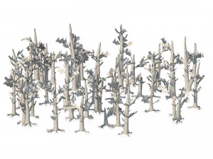 Fire-killed trees 3D Model