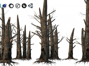 Fire-killed trees Model 3D