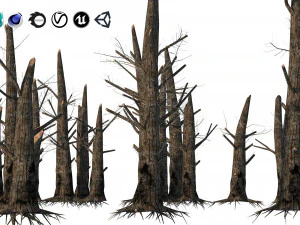 Fire-killed trees 3D Model