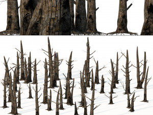 Fire-killed trees Model 3D