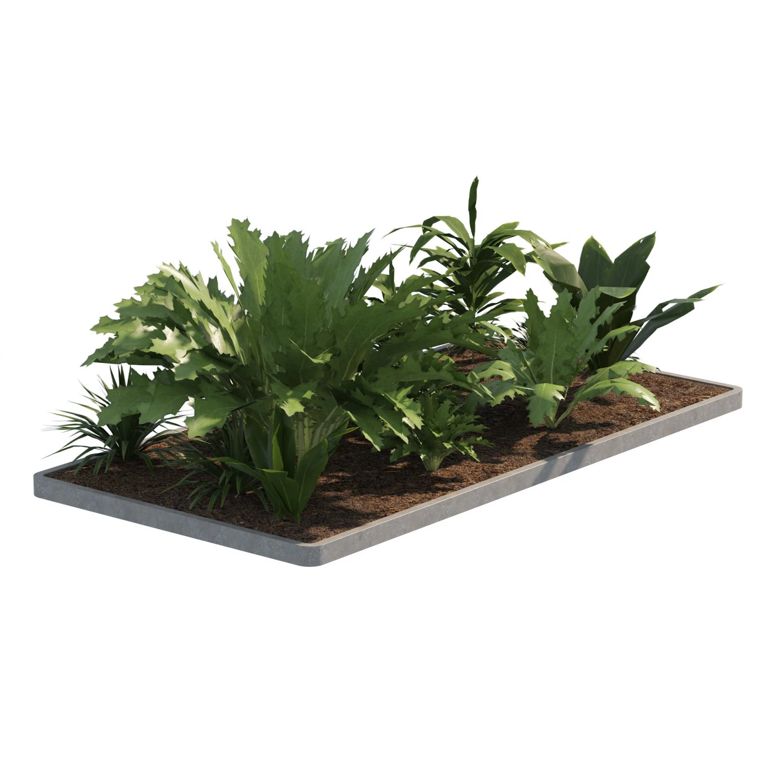 Low poly Tropical Plant grouping 3D Model .c4d .max .obj .3ds .fbx .stl .blend 
