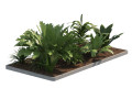 Low poly Tropical Plant grouping 3D 모델