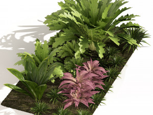 Vivid Tropical Plants 3D Model
