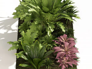 Vivid Tropical Plants 3D Model