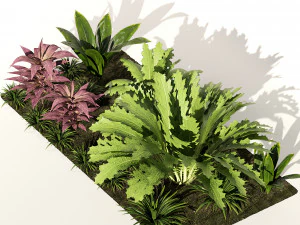 Vivid Tropical Plants 3D Model