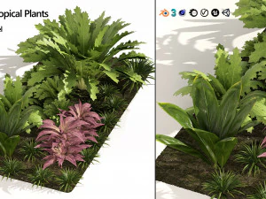 Vivid Tropical Plants 3D Model
