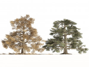 Fall and green broadleaves beech trees 3Dモデル