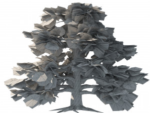 Fall and green broadleaves beech trees 3Dモデル