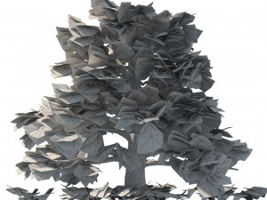 Fall and green broadleaves beech trees 3Dモデル