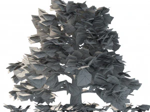 Fall and green broadleaves beech trees 3D Model