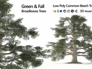Fall and green broadleaves beech trees 3Dモデル