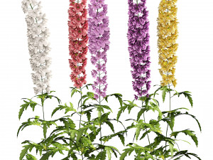 Colorful candle larkspur flowers 3D Модель