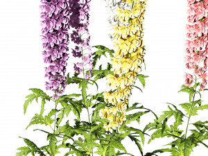 Colorful candle larkspur flowers 3D-Modell