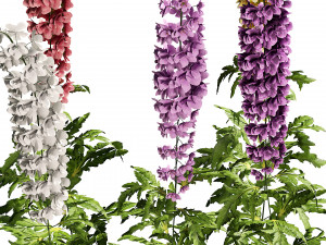 Colorful candle larkspur flowers 3D-Modell