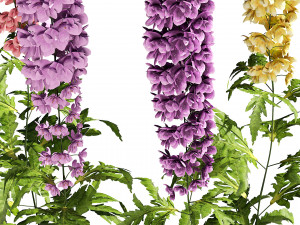 Colorful candle larkspur flowers 3D-Modell