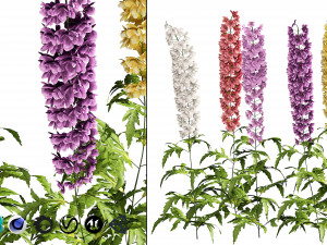 Colorful candle larkspur flowers 3D-Modell