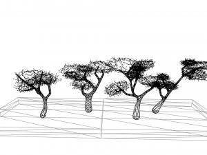 Low poly stylized trees 3Dモデル