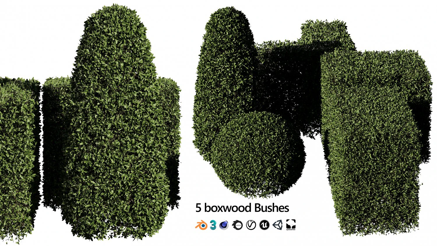 5 boxwood Hedge 3D Model .c4d .max .obj .3ds .fbx .stl .blend