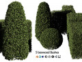 5 boxwood Hedge 3D Модель