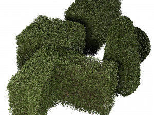 5 boxwood Hedge Modello 3D