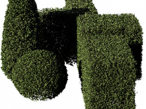 5 boxwood Hedge Modello 3D