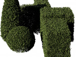 5 boxwood Hedge 3D Model