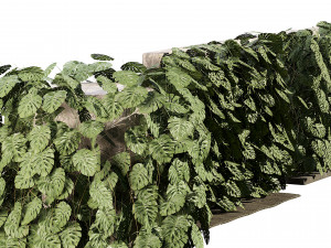 Swiss Cheese Plant Climber Greenwall Modelo 3D