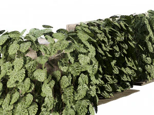 Pianta rampicante svizzera Greenwall Modello 3D