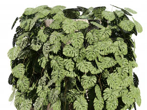 Pianta rampicante svizzera Greenwall Modello 3D