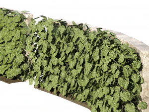 Pianta rampicante svizzera Greenwall Modello 3D