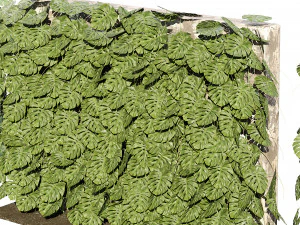 Pianta rampicante svizzera Greenwall Modello 3D