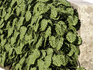 Pianta rampicante svizzera Greenwall Modello 3D