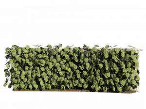 Pianta rampicante svizzera Greenwall Modello 3D