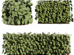 Pianta rampicante svizzera Greenwall Modello 3D