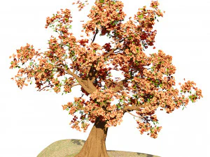 Flowering cherry trees 3D Model