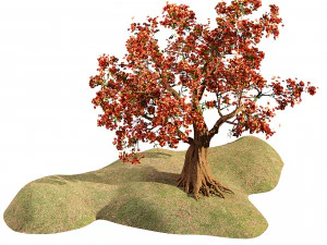 Flowering cherry trees 3D Model