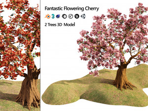 Flowering cherry trees Modello 3D