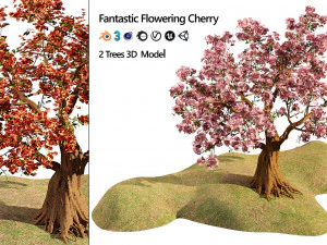 Flowering cherry trees 3D Model