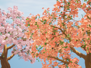 Flowering cherry trees 3D मॉडल