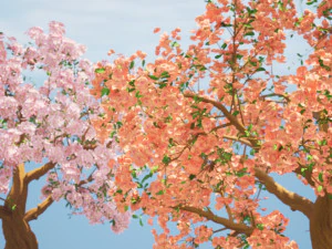 Cerejeiras floridas Modelo 3D