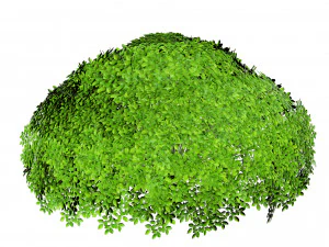 17 Stylized Game Ready Forest Assets 3D Model