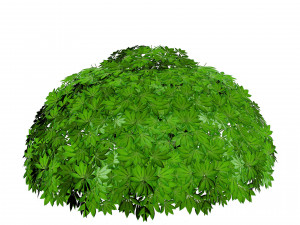 17 Stylized Game Ready Forest Assets 3D 模型