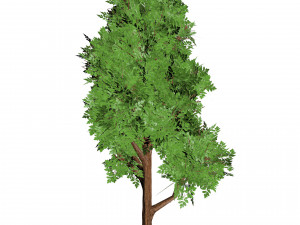 17 Stylized Game Ready Forest Assets 3D 模型