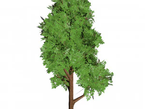 17 Stylized Game Ready Forest Assets 3D Model