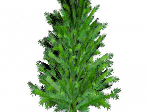 17 Stylized Game Ready Forest Assets 3D 模型