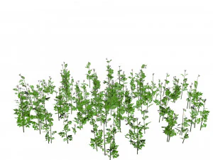 17 Stylized Game Ready Forest Assets 3D Model