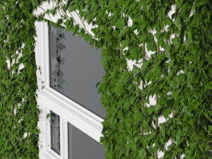 Christmas Balcony with ivy covered wall 3Dモデル