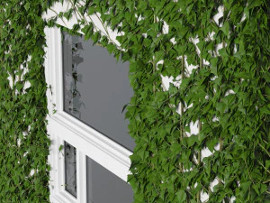 Weihnachtsbalkon mit efeubedeckter Wand 3D Modell