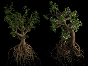 Spooky Witch trees 3D मॉडल